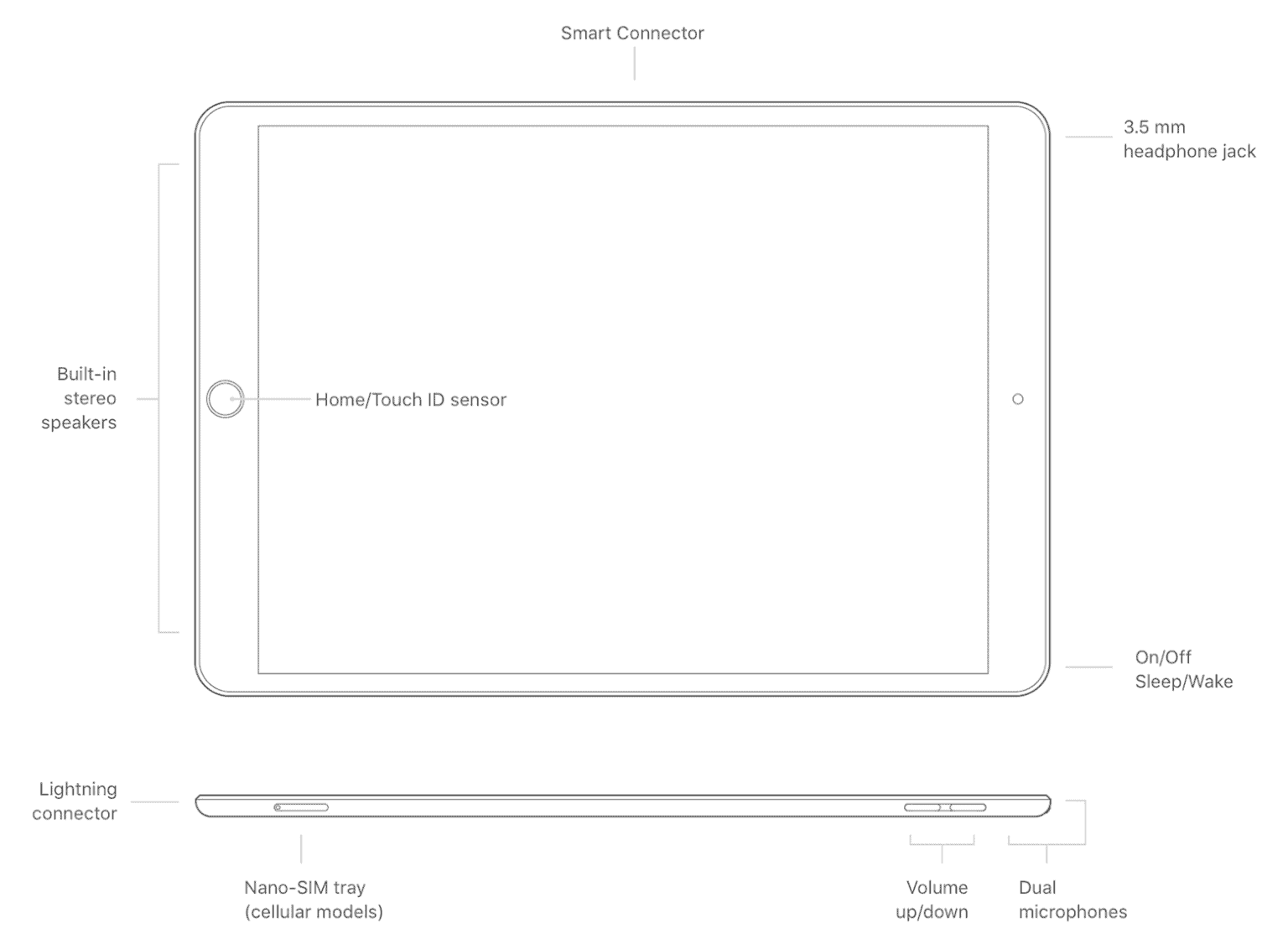 IPad Distributors IPad Air 3 Wholesale I Bulk Order